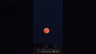 Hunter's Moon from Felt Oklahoma