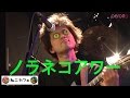 『ノラネコアワー』 ねこカフェライブ、インストなナイト@吉祥寺RockJoint【GB】Vo…