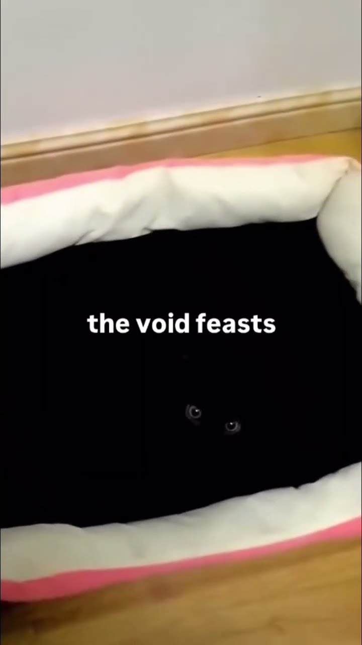 Prvnci getting fed while chilling in the abyss