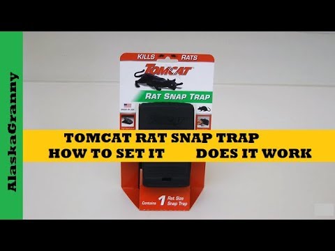 Tomcat 0365510 Mouse Trap, Snap Locking