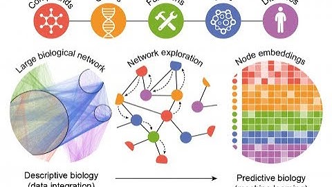 Decoding Life - Machine Learning in Bioinformatics (4 Minutes)