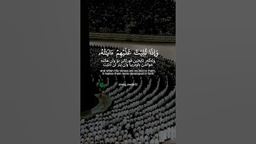 ياسر الدوسري - سورة الأنفال #قرآن #quran #الحمدلله #لا_اله_الا_الله #muslim #allah #allahuakbar