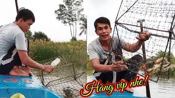 Bơi xuồng đi thăm lưới kiếm cá Thăm Rập bắt cua biển mùa nước nổi Trúng Mánh hàng khủng mừng húm|TCM