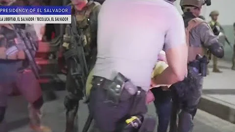 Border czar using 'every tool in the toolbox' on immigration | CUOMO