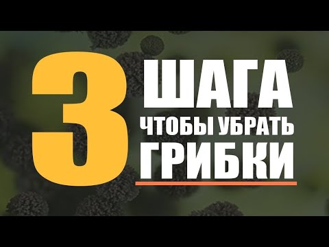 &#55357;&#56613; 3 Метода Очищения От Грибков | Лечение кандидоза и грибковых инфекций | Кандида. Дрожжи. Плесень