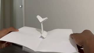 RAS 557 - Foldable Robotics