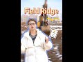 Tutorial Episode 07 - Field Ridge