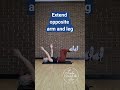 Dead Bug | Build Core Stability