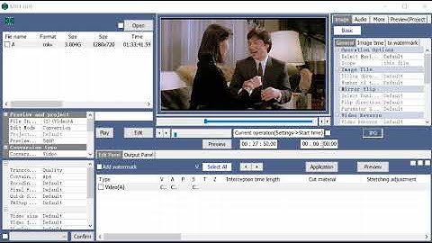 Free video format conversion software, ASS subtitles