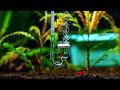 Do you need to use co2 in your Planted Aquarium?