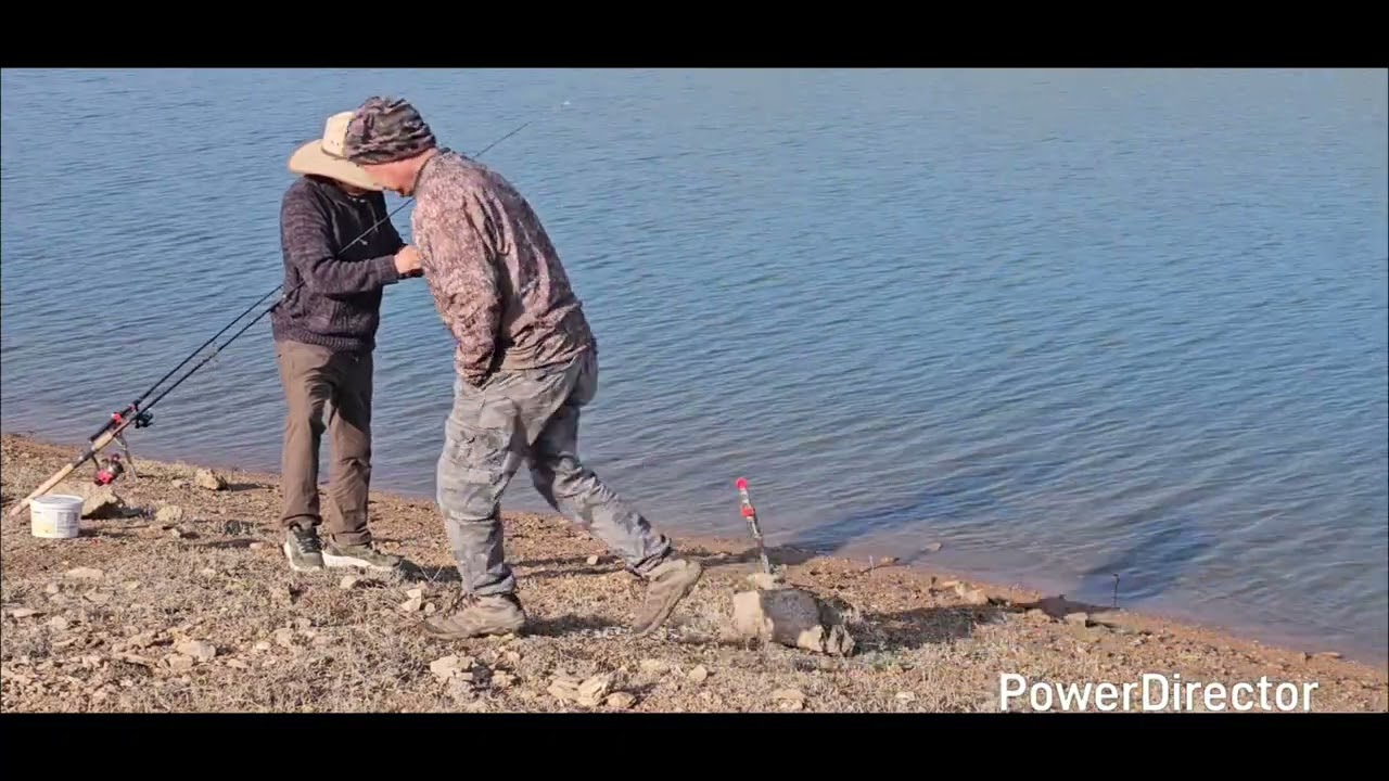 Zoo siab nuv tau Pam nais.