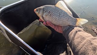 видео: Тут рыба ловится хорошо, есть и бонусы караси и карп клюёт картинка: Тут рыба ловится хорошо, есть и бонусы караси и карп клюёт