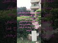 اللهم صل وسلم وبارك على سيدنا محمد صلاة عبد قلت حيلته ورسول الله وسيلته وأنت لها ياإلهي ولكل كرب اللهم صل وسلم وبارك على سيدنا محمد صلاة عبد قلت حيلته ورسول الله وسيلته وأنت لها ياإلهي ولكل كرب
