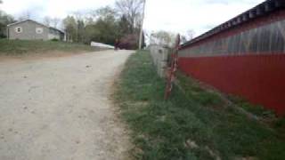 MOV09296.MPG