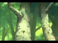 الغابة الخضراء الحلقة 3 دقة عالية