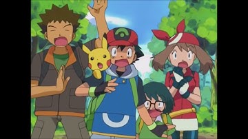 Zigzagoon vs. Zigzagoon