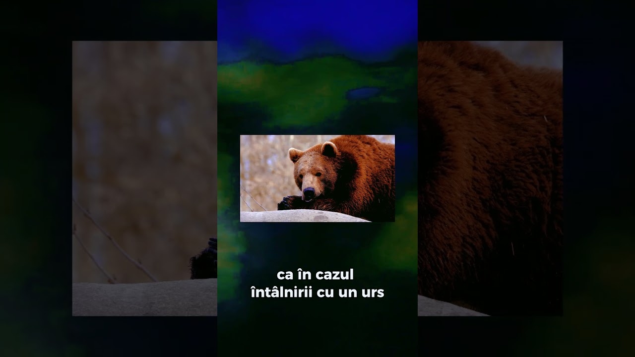 💭 Cum îți afectează frica mintea și corpul?