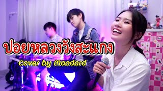 ปอยหลวงวังสะแกง ( Cover by ร็อกเก็ต.เมาดาด )