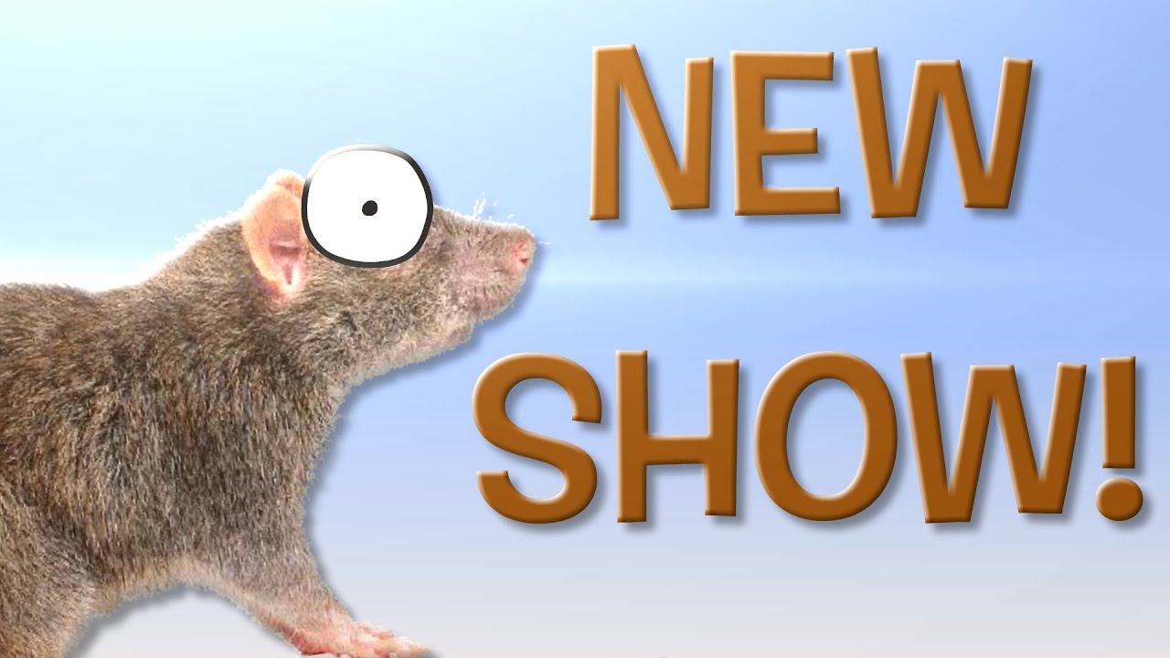 Random Rat Rivalry - Intro [NEW SHOW ANNOUNCEMENT] - YouTube