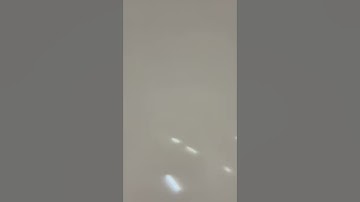 سورة الغاشية - بصوت القارئ يوسف خليف الشمري