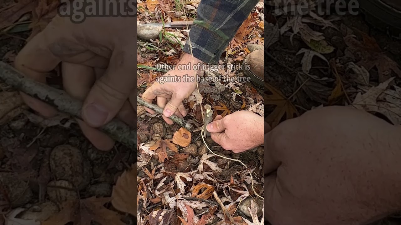 Как сделать ловушку-ловушку