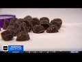 Dr. Brian Case discusses new melatonin study | WJZ-TV
