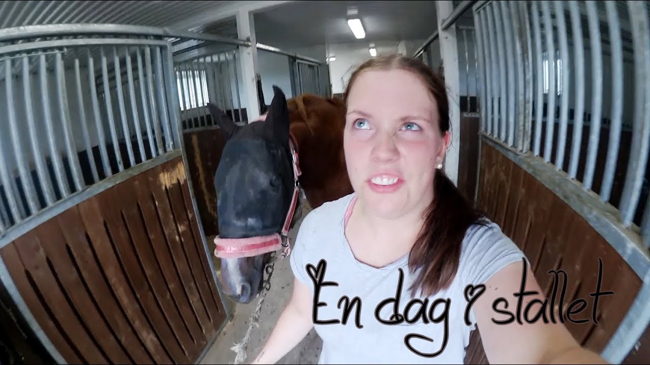 Ny häst? - Lång stallvlogg!