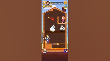 Home Pin | Level 202 | Solution Walkthrough Gameplay #shorts