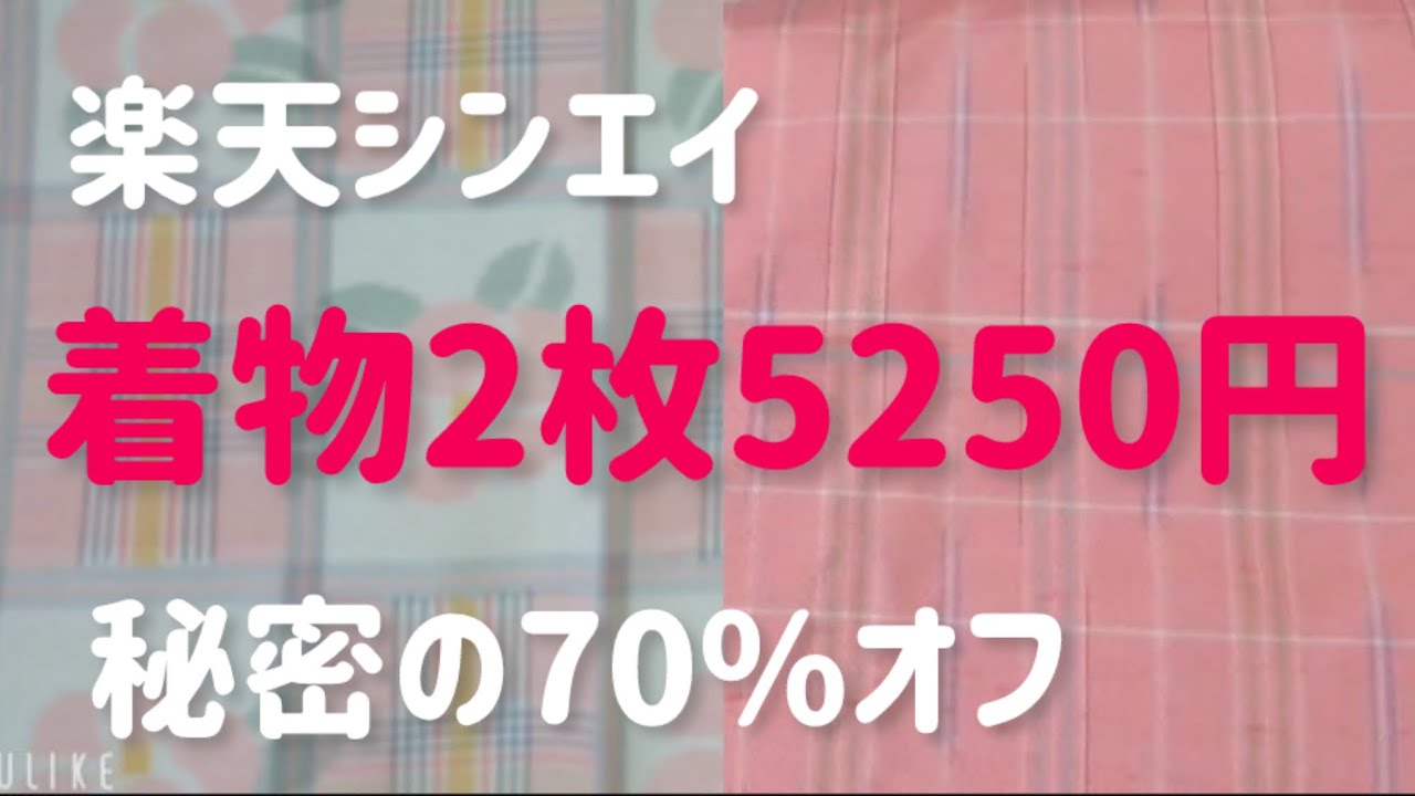 シンエイさんで米沢紬2枚!