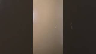 408 East 78st,#4B