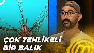 ELEME TURUNDA ZEHİRLİ BALIK! | MasterChef Türkiye 9. Bölüm