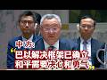 【完整版】傅聪大使在安理会巴以问题公开会上的发言