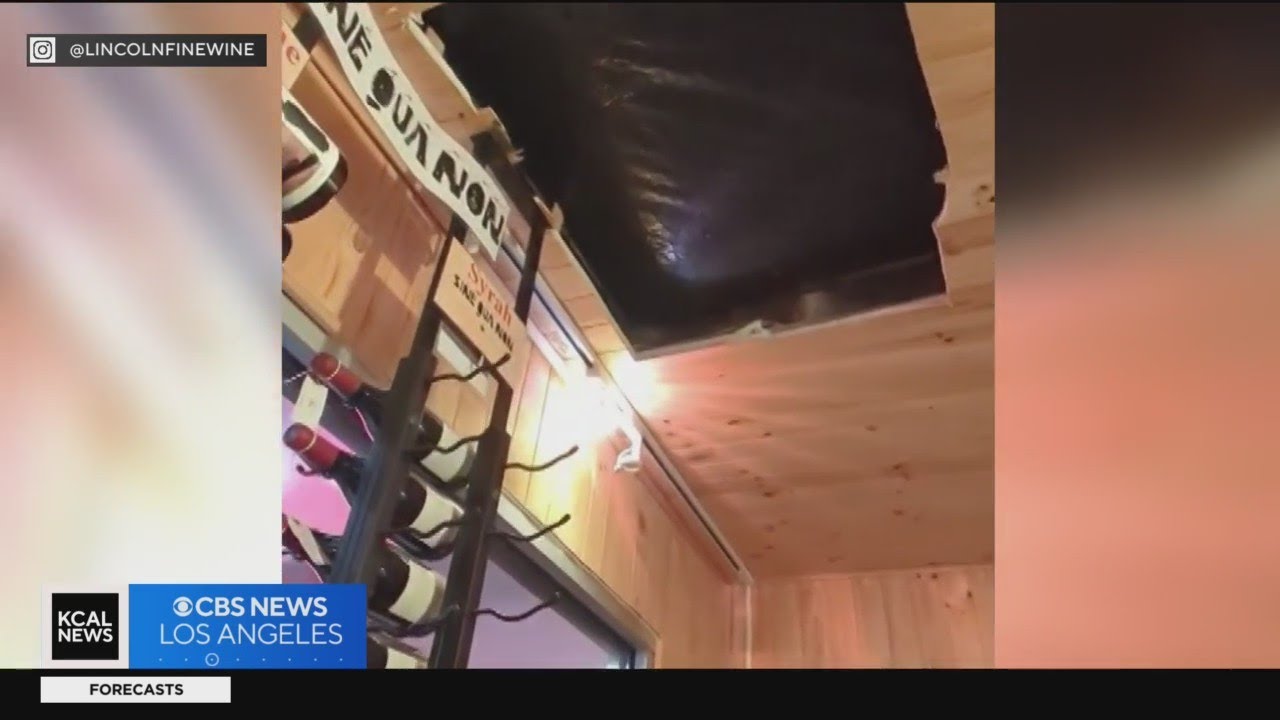 Thieves steal about $600,000 of wine from Venice store