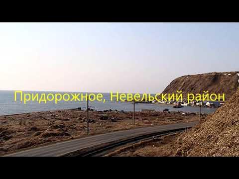 лопатино придорожный