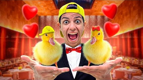 ENCONTREI UMA NAMORADA PRO NOSSO PATO DE ESTIMAÇÃO