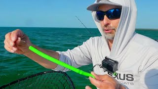 This STUPID LURE Catches Every Fish That Swims Here!!! by Todays Angler 2,679 views 4 days ago 15 minutes