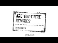 Josh Wink Are You There Rod Remix mp3