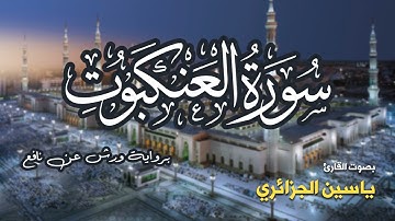 تلاوة مرتبة لسورة العنكبوت كاملة بصوت القارئ ياسين الجزائري - Surah Al-Ankabut Yassin Al-Jazairi