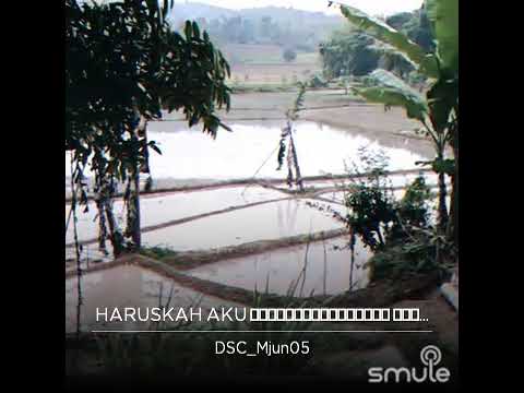 Haruskah Aku Bersujud Dikakimu