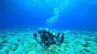 沖縄本島 ホーシューでセルフダイビング・真夏日にドライスーツでホーシューのドロップオフ行った Scuba Diving in Horseshoe, Okinawa, Japan GoPro11