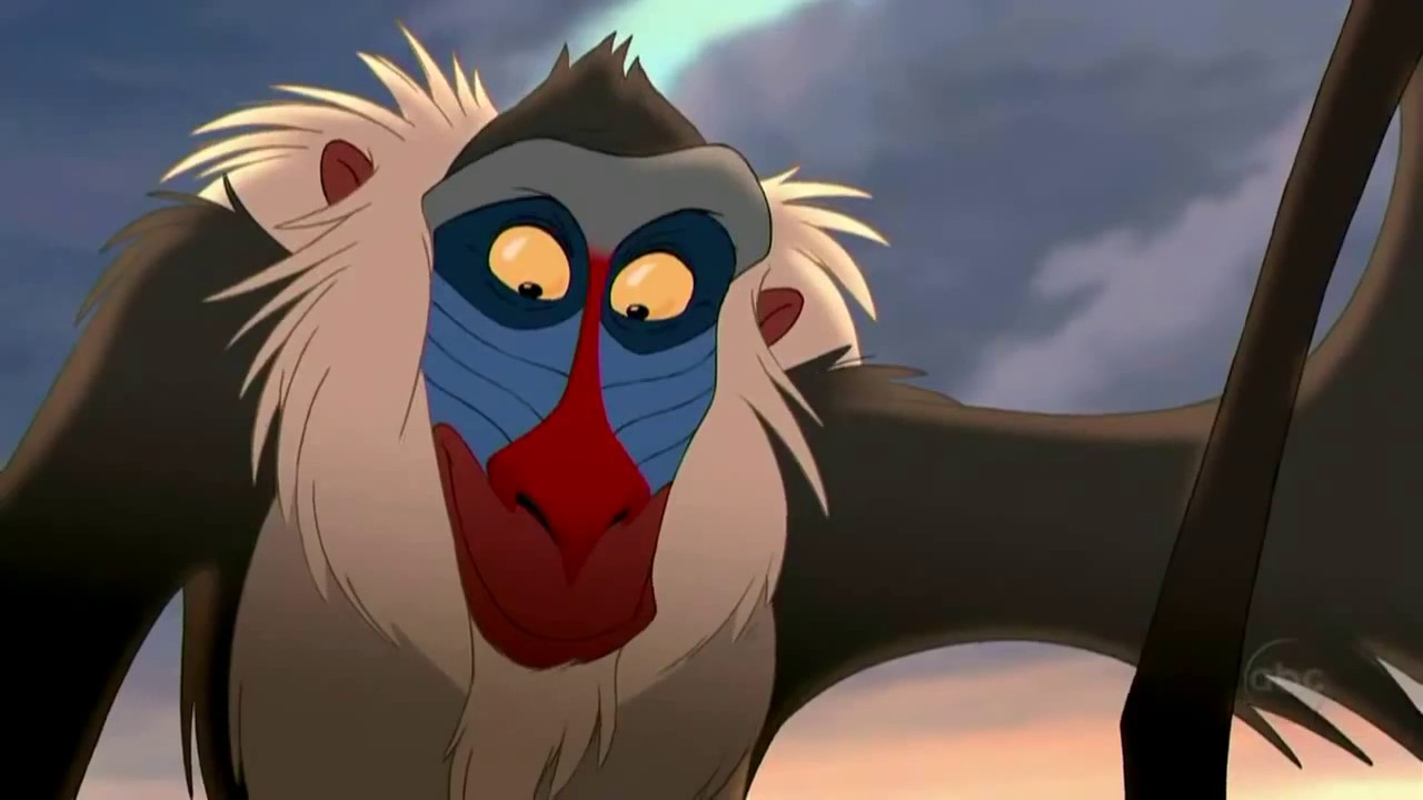 El Ciclo Sin Fin El Rey Leon Letra