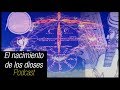 El nacimiento de los Dioses - Podcast