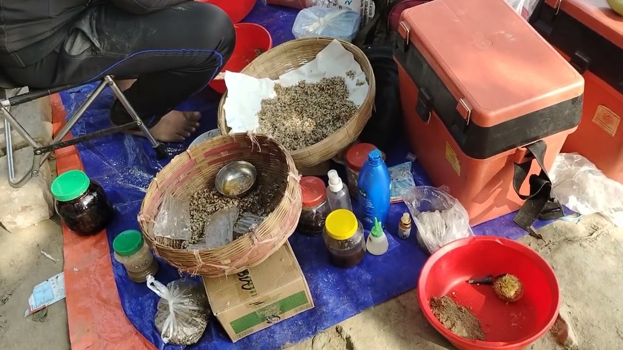 Go Fishing Together And Enjoy The Morning Air On A Beautiful Day 12