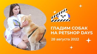 Гладим ваших собак на Petshop Days 2022 🐶