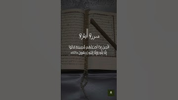 تلاوة خاشعة #آيات #قرآن #دين #اكسبلور #قران_كريم #تلاوة_رائعة #المصحف #لايك #الرحمن #تيك_توك #الثامن