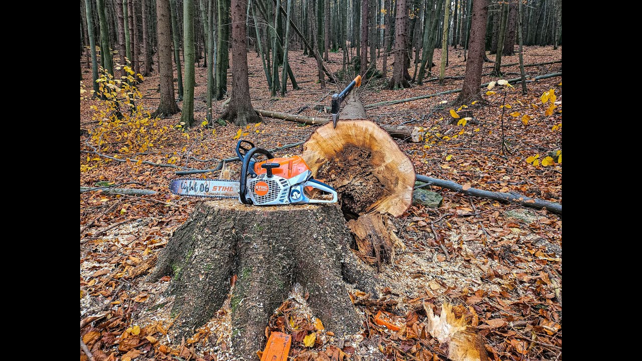 Kácení 4 smrků s mírnými obtížemi xd