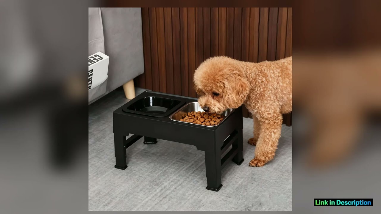 Adjustable Height Cat Feeder Stand Folding Stainless Steel Pet Bowl Table with NonSlip Design Ultra