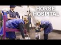The liphook equine hospital  ride presented by longines