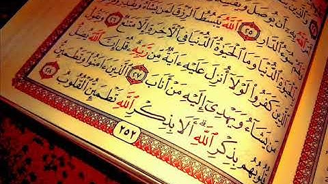 أَلَا بِذِكْرِ اللَّهِ تَطْمَئِنُّ الْقُلُوبُ _ القارئ طارق محمد - تلاوة خاشعة