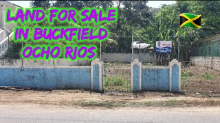 Land For Sale In Buckfield || Ocho Rios || Jamaica ??Real Estate
